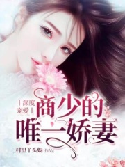 深度宠爱：商少的唯一娇妻