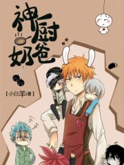 神厨奶爸在线阅读