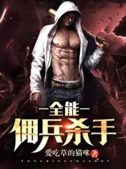 全能佣兵杀手