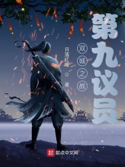 双城之战：第九议员在线阅读
