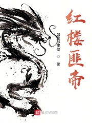 红楼匪帝在线阅读