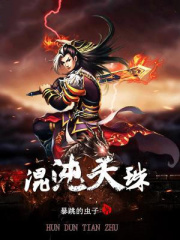 混沌天珠在线阅读