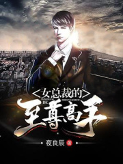 女总裁的至尊高手