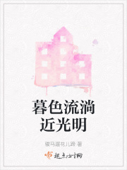 暮色流淌近光明在线阅读