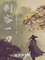 刺客一刀在线阅读