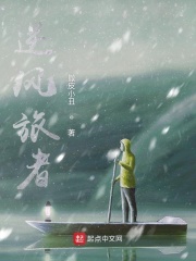 逆风旅者在线阅读