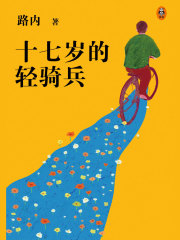 十七岁的轻骑兵