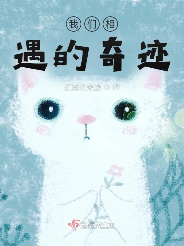 我们相遇的奇迹