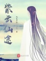 紫云仙途在线阅读