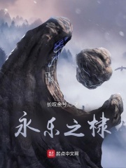 永乐之棣在线阅读