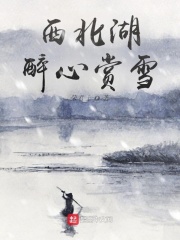 西北湖醉心赏雪