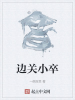 边关小卒封面