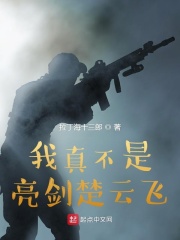 我真不是亮剑楚云飞在线阅读