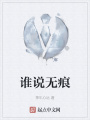 谁说无痕在线阅读