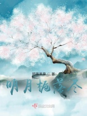 明月栀落尽在线阅读