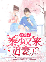离婚后秦少又来追妻了在线阅读