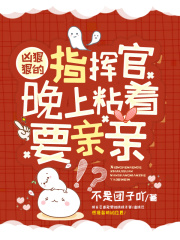 凶狠狠的指挥官，晚上粘着要亲亲在线阅读