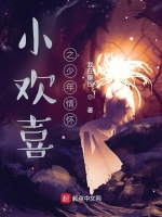 小欢喜之少年情怀最新章节在线阅读