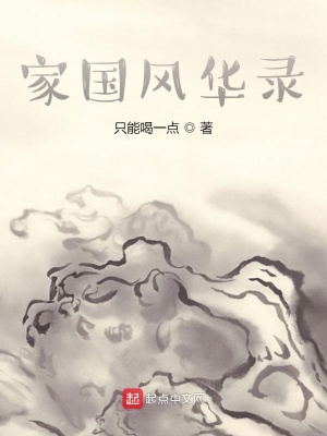 家国风华录在线阅读