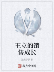 王立的销售成长在线阅读