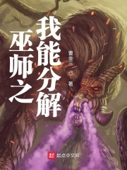 巫师之我能分解在线阅读
