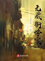 无藏街案