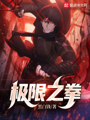 极限之拳