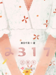 2317次客车