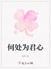 何处为君心在线阅读