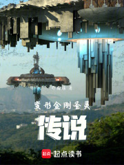 变形金刚圣灵：传说在线阅读