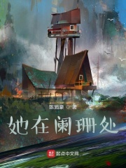 她在阑珊处在线阅读