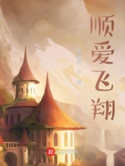 顺爱飞翔在线阅读