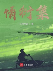 情衍集在线阅读