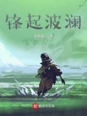 锋起波澜在线阅读