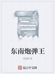 东南炮弹王在线阅读