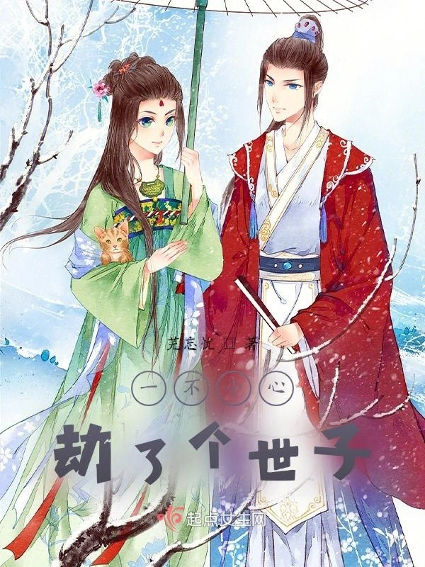 一不小心劫了个世子