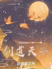 剑道天子在线阅读