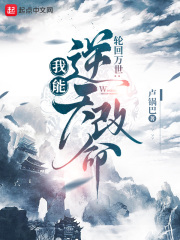 轮回模拟：我能逆天改命在线阅读