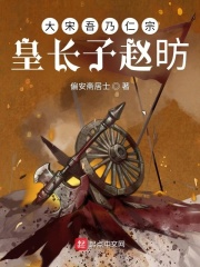 大宋吾乃仁宗皇长子赵昉