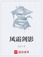 风霜剑影在线阅读
