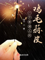 一个普通人的鸡毛蒜皮在线阅读