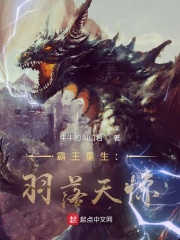 霸王：羽落天惊