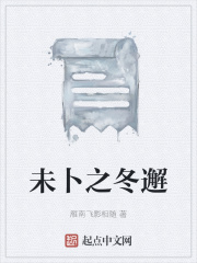 未卜之冬邂