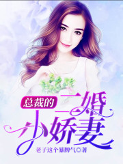 总裁的二婚小娇妻