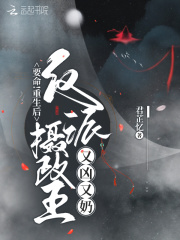 要命！重生后反派摄政王又凶又奶在线阅读