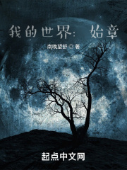 我的世界：始章在线阅读