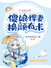 傻娘悍妻换颜有术在线阅读
