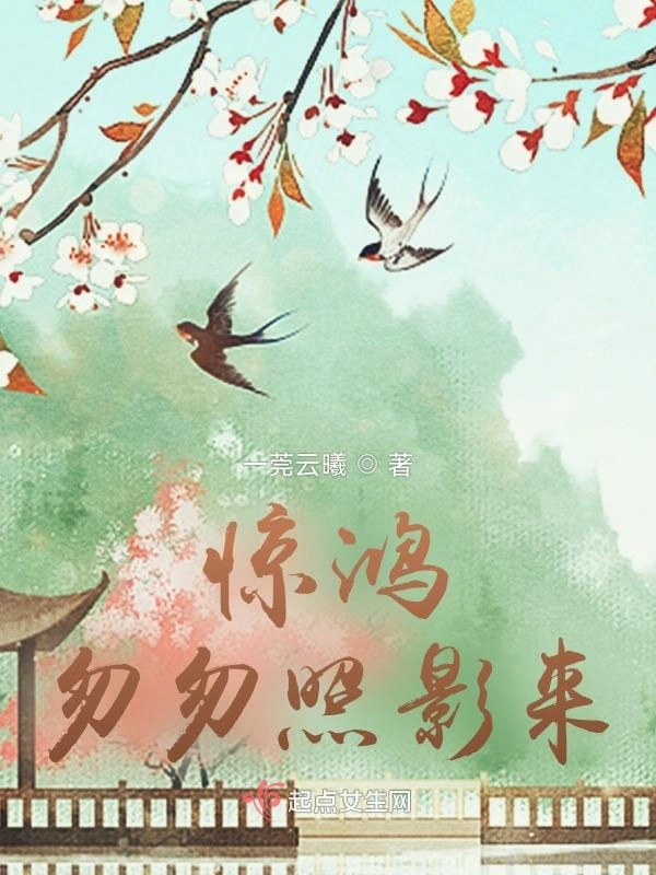 惊鸿匆匆照影来