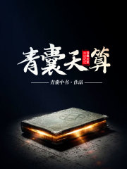 青囊天算在线阅读