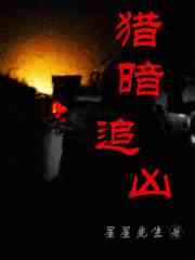 猎暗追凶在线阅读